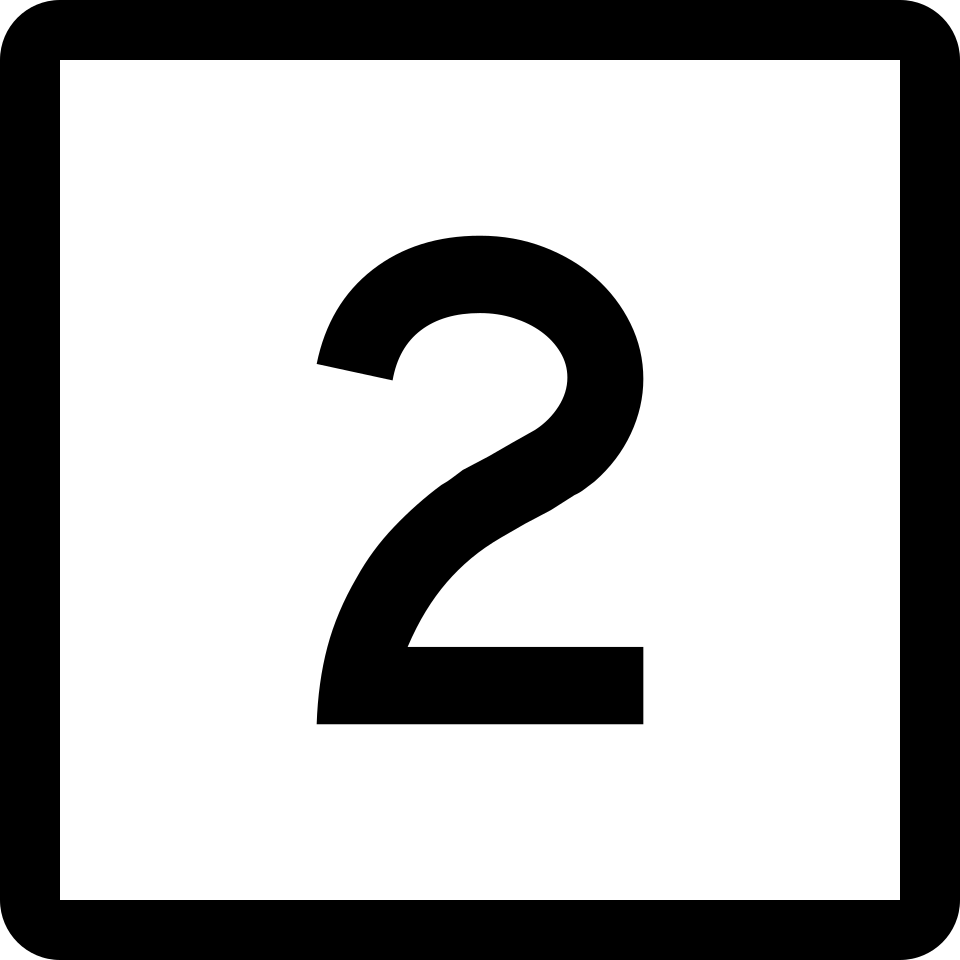 CT-2 shield