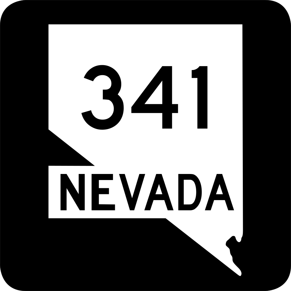 Geiger Grade (NV-341) shield
