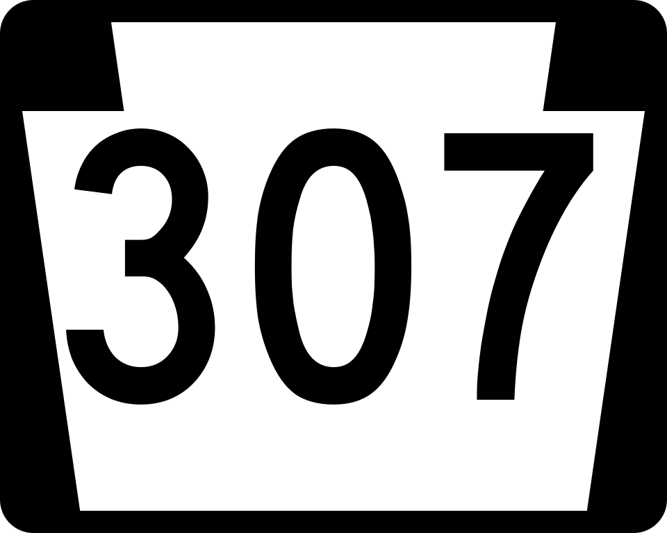PA-307 shield