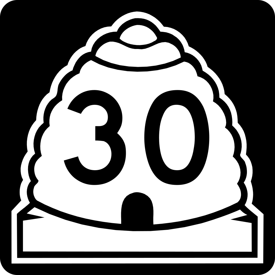 UT-30 shield