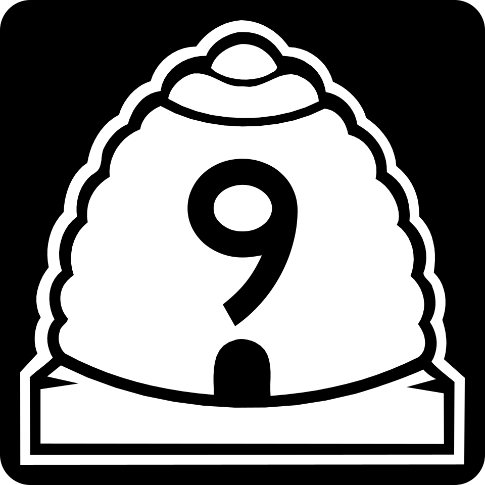 UT-9 shield